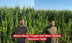 CHP’li Baran Yazgan’dan mısır ithalatı kararına sert tepki!