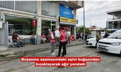 Boşanma aşamasındaki eşini boğazından bıçaklayarak ağır yaraladı