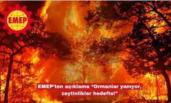EMEP’ten açıklama “Ormanlar yanıyor, zeytinlikler hedefte!”