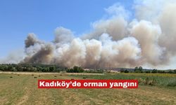 Kadıköy'de orman yangını