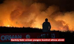 Şarköy’deki orman yangını kontrol altına alındı