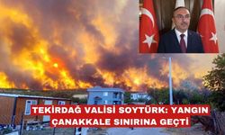 Tekirdağ'da orman yangını; alevler Çanakkale sınırına geçti