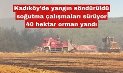 Kadıköy'deki yangında 40 hektar alan yok oldu