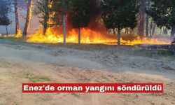Enez'de orman yangını söndürüldü