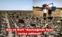 Aliş ve Kurt “Ayçiçeğinde fiyat revize edilmeli”