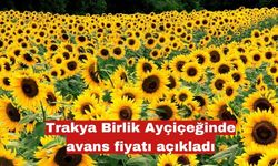 Trakya Birlik Ayçiçeğinde avans fiyatı açıkladı