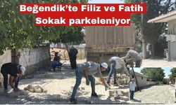 Beğendik’te Filiz ve Fatih Sokak parkeleniyor