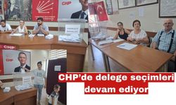 CHP^de delegeleri seçimleri devam ediyor