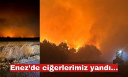 Enez’de ciğerlerimiz yandı…Yangın kontrol edildi