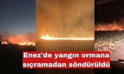 Enez'de yangın ormana sıçramadan söndürüldü