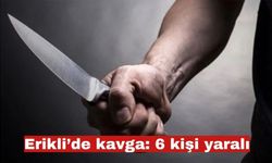 Erikli’de çıkan kavgada 6 kişi yaralandı