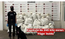 Kapıkule'de 245 kilo esrarı 'Füge' buldu