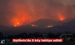 Çanakkale’de orman yangını: 5 köy tahliye edildi