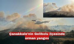 Çanakkale’nin Gelibolu ilçesinde orman yangını