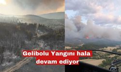 Çanakkale'deki orman yangını 2'nci gününde