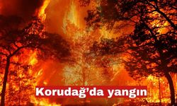 Korudağ'da yangın korku yarattı.Çalışmalar sürüyor