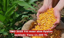 TMO 2025 Yılı mısır alım fiyatını açıkladı: Tonu 11.300 TL