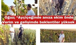 Oğuz; “Ayçiçeğinde anıza ekim önde