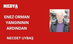 Enez orman yangınının ardından aklıma düşenler
