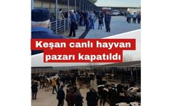 Keşan canlı hayvan pazarı kapatıldı