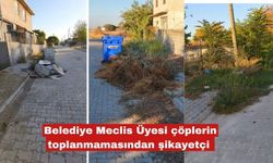 Belediye Meclis Üyesi çöplerin toplanmamasından şikayetçi