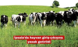 İpsala’da hayvan giriş-çıkışına yasak getirildi