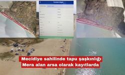 Mecidiye sahilinde tapu şaşkınlığı