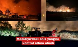 Mecidiye’de anız yangını kontrol altına alındı