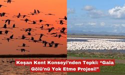 Keşan Kent Konseyi'nden "Gala Gölü'ne kıymayın"