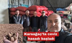 İpsala Karaağaç’ta ceviz hasadı başladı