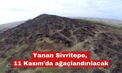 Keşan’da yangında zarar gören orman alanı ağaçlandırılacak