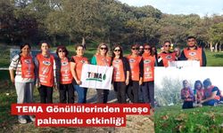 TEMA Gönüllülerinden meşe palamudu etkinliği