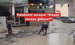Pekdemir soruyor “Keşan nereye gidiyor?”