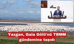 Yazgan Gala Gölü'nü TBMM gündemine taşıdı