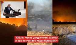 Akalın, "Enez yangındaki alanlara meşe ekilmelidir"