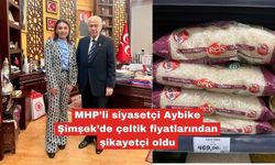 MHP'li Aybike Şimşek’de çeltik fiyatlarından şikayetçi oldu