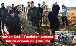 Hakan Çağıl Taşdelen anısına hatıra ormanı oluşturuldu
