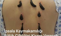 Kaymakamlık Sülük Çiftliğini kiralayacak