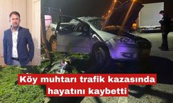 Köy muhtarı trafik kazasında hayatını kaybetti