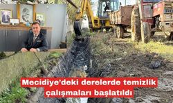 Mecidiye’deki derelerde temizlik çalışmaları başlatıldı
