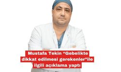 Tekin, gebelikte dikkat edilmesi gerekenleri açıkladı