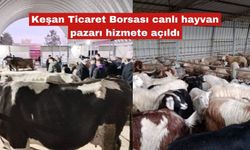 Canlı hayvan borsası açıldı