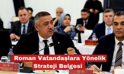 Roman vatandaşlara yönelik çalışma