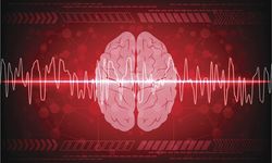 Ölüm anında beyin aktivitesi ilk kez görüntülendi