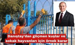 Danıştay’dan kuşlar ve sokak hayvanları için örnek karar