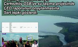 Meriç Nehri projesine ÇED onayı