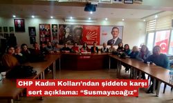 CHP Kadın Kolları’ndan şiddete karşı sert açıklama