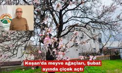 Keşan’da meyve ağaçları, Şubat ayında çiçek açtı