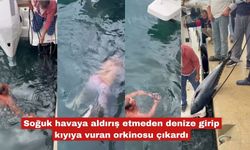 Soğuk havaya rağmen  kıyıya vuran orkinosu çıkardı