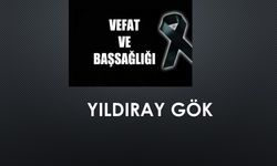 Yıldıray Gök vefat etti